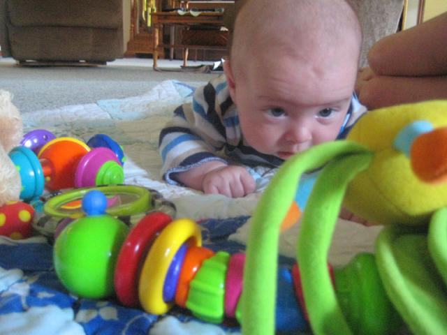 Butterfly, you are my Everest! ~ June 6, 2009