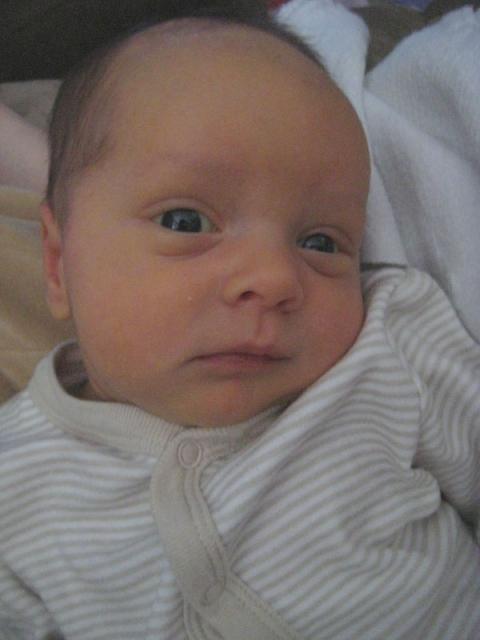 I think this face is saying, "Come on, Mom, stop with the camera." ~ March 26, 2009