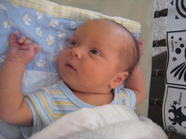 Checking out his pictures ~ March 29, 2009