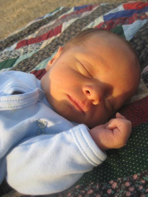 Soaking it up ~ March 5, 2009