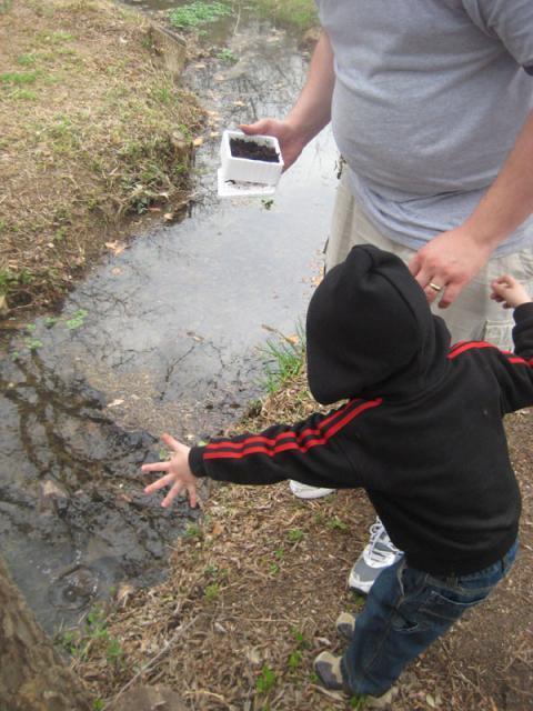 Worms can swim, right? ~ March 7, 2009