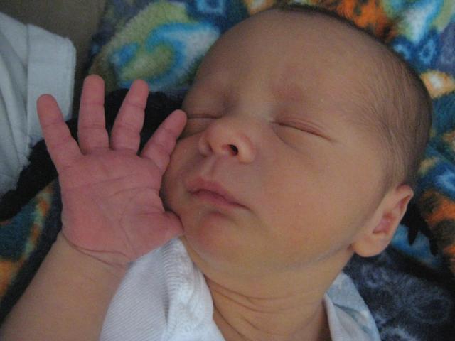 No more pictures, please! ~ March 17, 2009