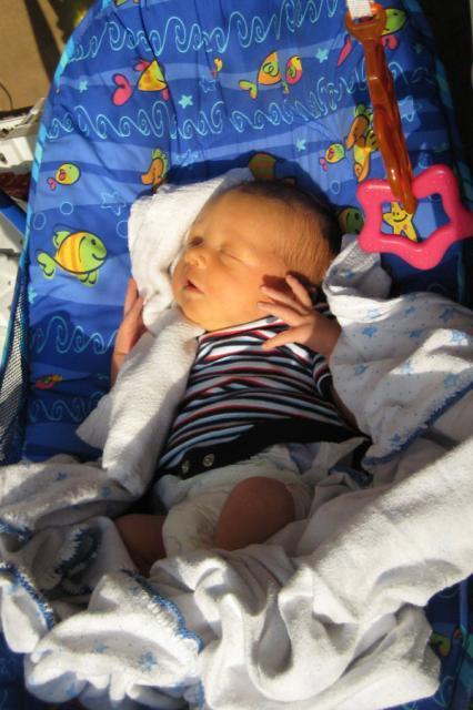 Getting some sun ~ March 18, 2009