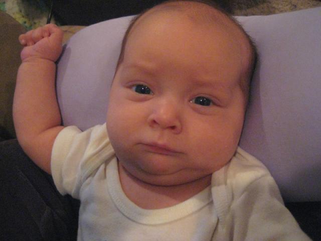 Oliver, not amused ~ May 5, 2009