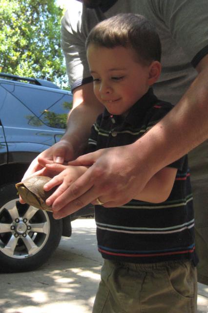 Found a turtle in the driveway! ~ May 31, 2009