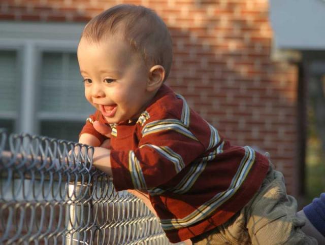 Trying to climb over the fence to play with Eddie ~ November 28, 2006