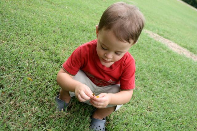 Nature boy ~ September 4, 2007