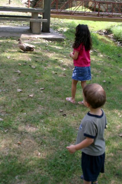 The chase is on ~ August 17, 2007