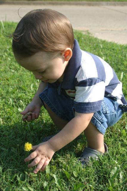 Look, a flower! ~ July 24, 2007