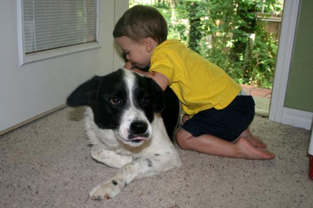 Oof! ~ June 28, 2008