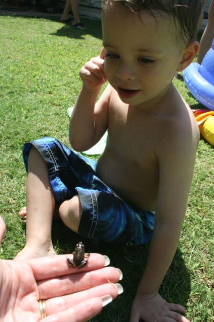 Look, a baby frog! ~ July 4, 2008