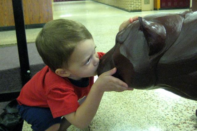The cougar needed a kiss ~ July 9, 2008