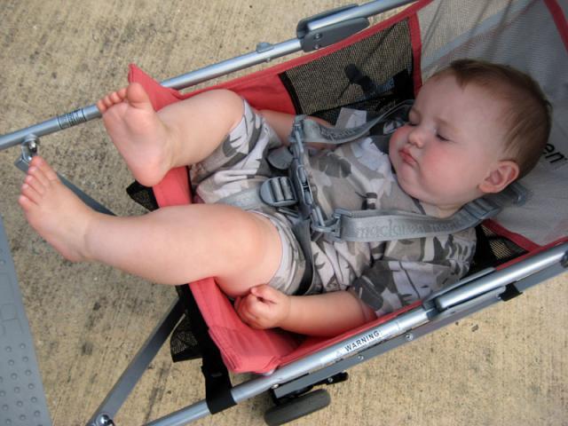 Sleepy Sam ~ June 24, 2008