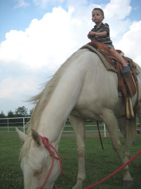 Cowboy, baby ~ May 22, 2008