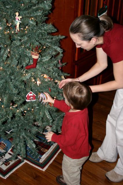 Let's try to branch out a bit -- there is a whole other side of the tree! ~ December 2, 2007