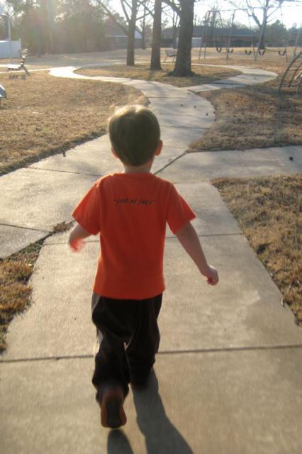 Decisions, decisions ~ February 4, 2008