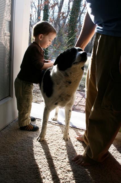 When can I ride him? ~ February 18, 2008