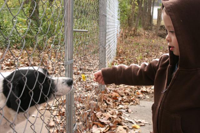 Smell it, Eddie! ~ November 14, 2007