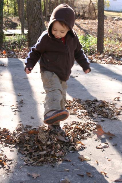 That pile of leaves was just waiting to be kicked ~ November 16, 2007