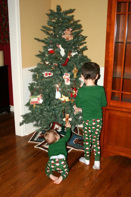 Decorating our Christmas tree ~ December 17, 2009