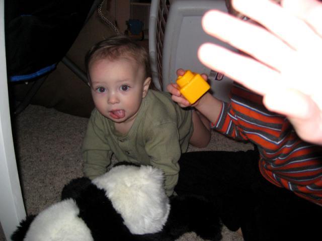 No cameras in the fort, Mom! ~ February 3, 2010