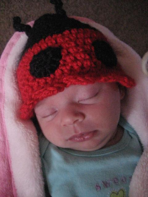 Little ladybug ~ February 10, 2010