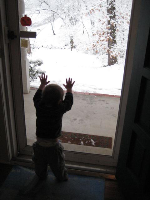 More snow! ~ February 11, 2010