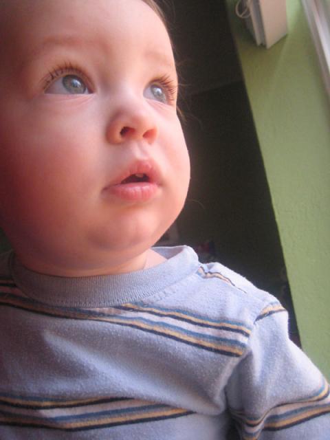 Little boy blue ~ January 19, 2010