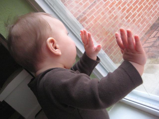 Looking for Eddie ~ November 16, 2009