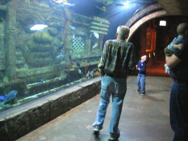 Fish, fish, everywhere! ~ November 19, 2009