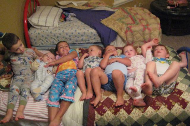 Seven little bed bugs!