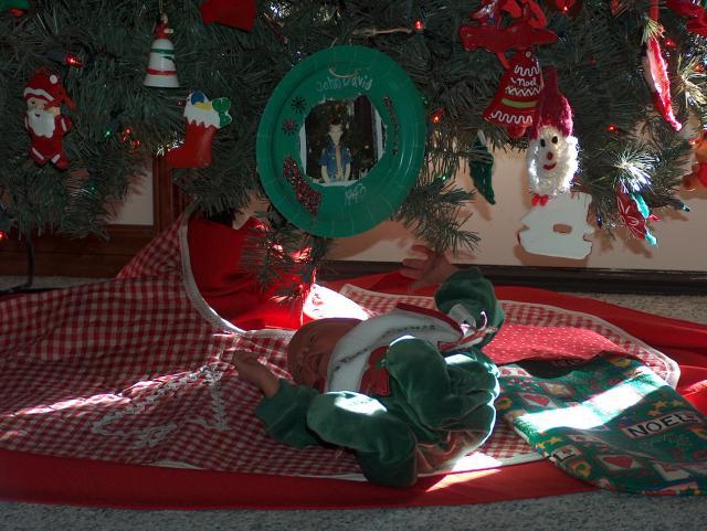 The best gift under the tree!