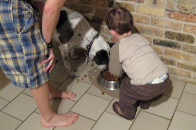 Helping feed the puppy