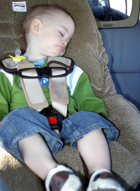 Doodlebops Live in Concert! - January 21, 2007