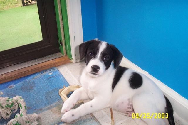 I'm Being Good, I Promise!