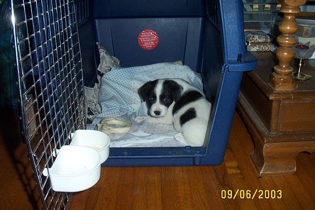 Exploring the New Pad