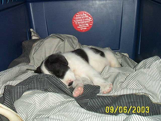 Warm, Dry and Worn Out