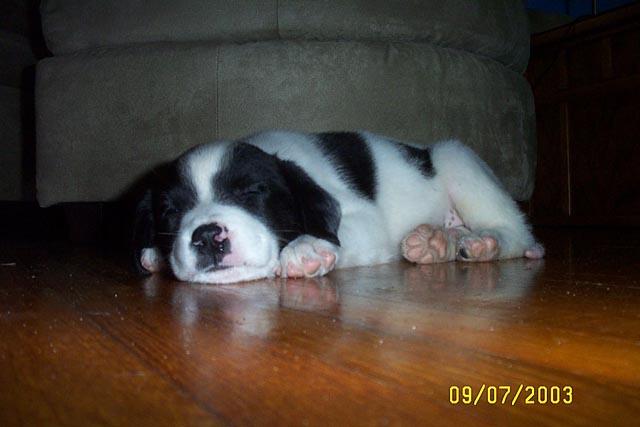 Napping on the Floor