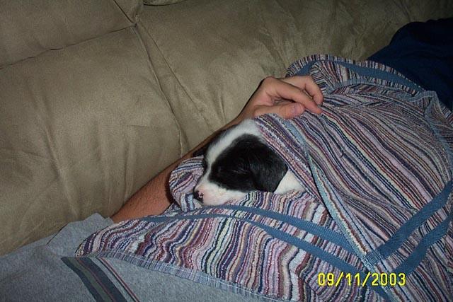 After Yet Another Bath