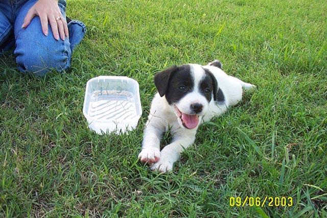 Relaxing on the Grass