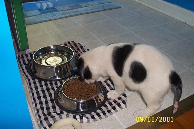 First Meal in his New House