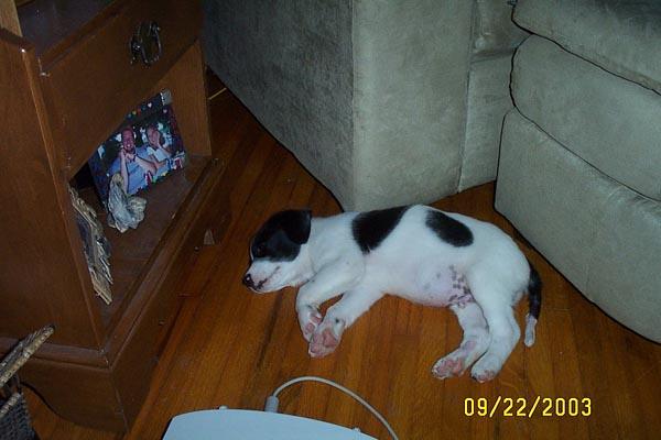 Eddie's Getting Bigger!