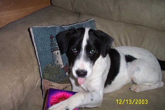 Sticking his Tongue Out