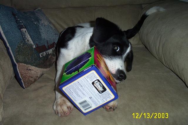 Fun with the Kleenex Box