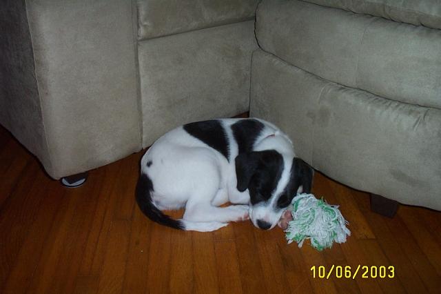 All Curled Up in a Ball