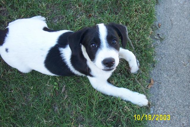 Looking Pretty for the Camera