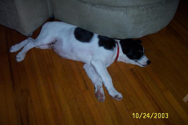 Eddie's Getting So Long!