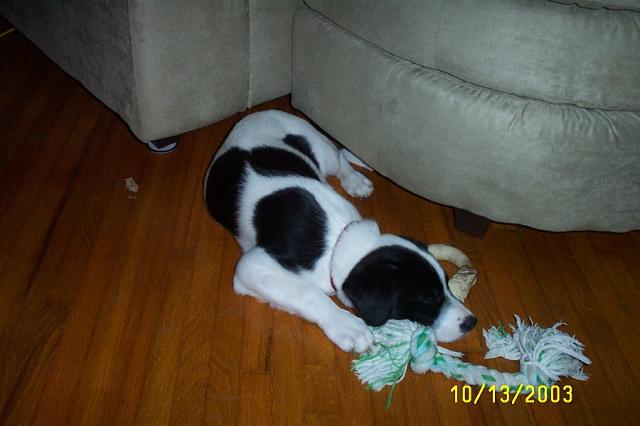 Taking a Nap with his Toys