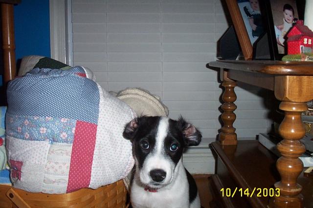 Fix my Ears, Please!