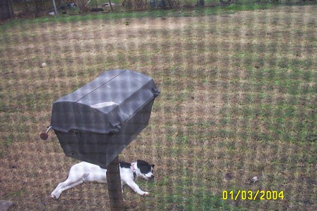 Eddie in January 2004